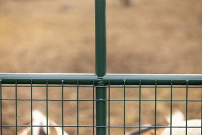 Image showing  16 ft. x 50 in. Wire-Filled Farm Gate, Green