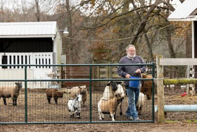 Image showing  14 ft. x 50 in. Wire-Filled Farm Gate, Green
