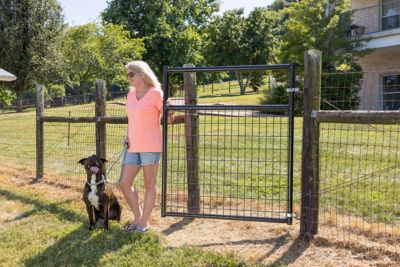 Image showing  4 ft. x 50 in. Wire-Filled Farm Gate, Green