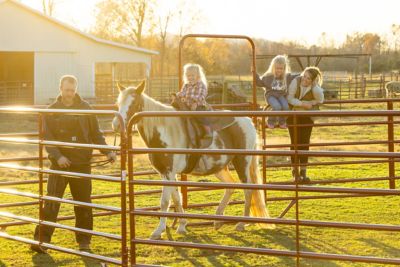 Image showing  10 ft. 6-Bar Corral Panel, Gray