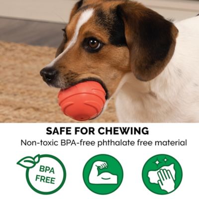 Image showing  Fetch N Fun Squeaker TPR Ball Dog Toys, 3-Pack