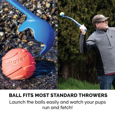 Image showing  Fetch N Fun Squeaker TPR Ball Dog Toys, 3-Pack