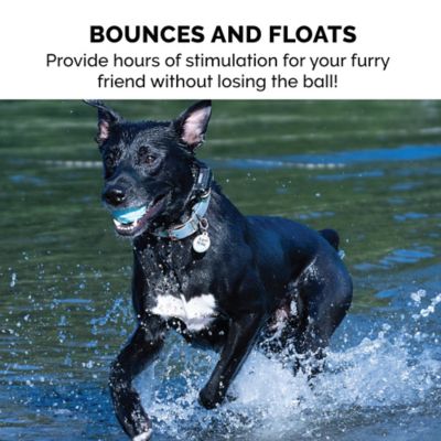 Image showing  Fetch N Fun Squeaker TPR Ball Dog Toys, 3-Pack