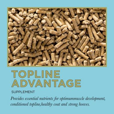 Image showing 5 th ProElite Topline Advantage Supplement Horse Feed, 25 lb.