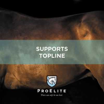 Image showing 6 th ProElite Topline Advantage Supplement Horse Feed, 25 lb.