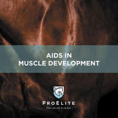 Image showing 7 th ProElite Topline Advantage Supplement Horse Feed, 25 lb.