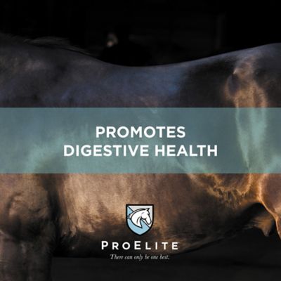 Image showing 8 th ProElite Topline Advantage Supplement Horse Feed, 25 lb.