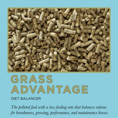 Image showing 5 th ProElite Grass Advantage Diet Balancer Horse Feed, 50 lb.