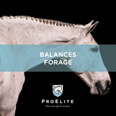 Image showing 7 th ProElite Grass Advantage Diet Balancer Horse Feed, 50 lb.