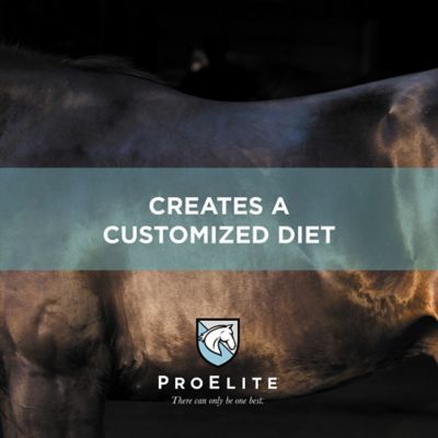Image showing 8 th ProElite Grass Advantage Diet Balancer Horse Feed, 50 lb.