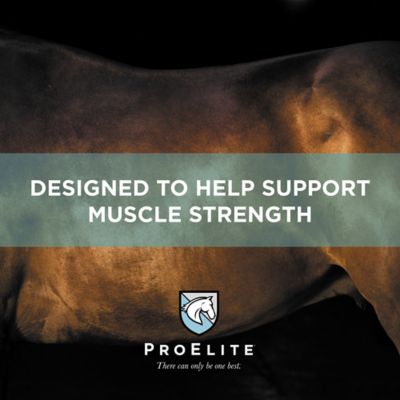 Image showing 6 th ProElite Performance Horse Feed