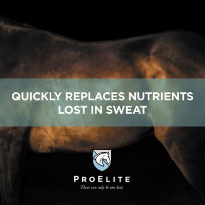 Image showing 5 th ProElite Aqua-Aide Electrolyte Supplement, 38756