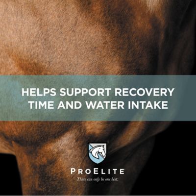 Image showing 6 th ProElite Aqua-Aide Electrolyte Supplement, 38756