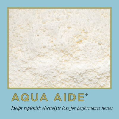 Image showing 7 th ProElite Aqua-Aide Electrolyte Supplement, 38756