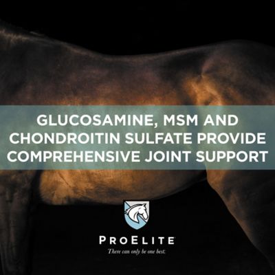 Image showing 5 th ProElite Pelleted Horse Joint Supplement, 3 lb.