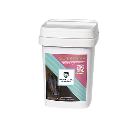 ProElite Gutbiome Equine Gut Health Supplement 3 Lbs