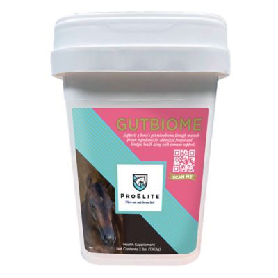Image showing  Gutbiome Pelleted Equine Gut Health Supplement, 3 lb.