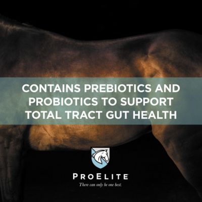 Image showing 5 th ProElite Gutbiome Pelleted Equine Gut Health Supplement, 3 lb.