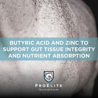 Image showing 6 th ProElite Gutbiome Pelleted Equine Gut Health Supplement, 3 lb.