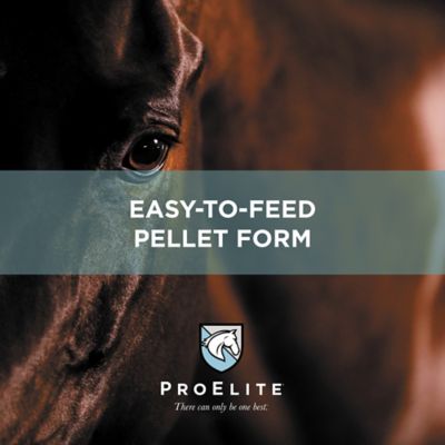Image showing 7 th ProElite Gutbiome Pelleted Equine Gut Health Supplement, 3 lb.