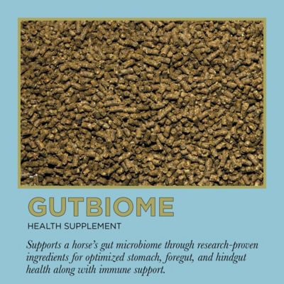 Image showing 9 th ProElite Gutbiome Pelleted Equine Gut Health Supplement, 3 lb.