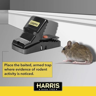 Image showing  Reusable Plastic Rat Trap, 3-Pack
