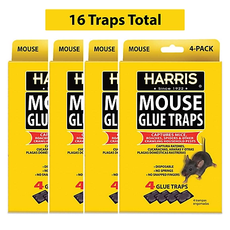 Tomcat Ready to Use Glue Sticky Mouse Traps ~ 4 Pack ~ 16 Traps