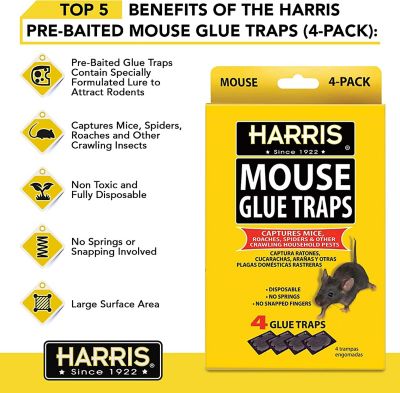 Image showing  Mouse Glue Traps, 16-Pack