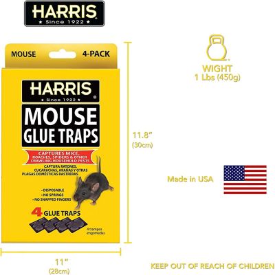 Image showing 5 th Harris Mouse Glue Traps, 16-Pack