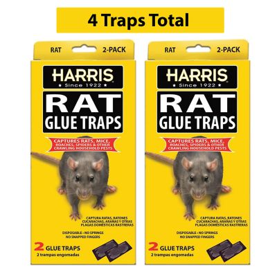 Harris Rat Glue Traps, Fully Disposable, 2-Pack, 4 Traps Total