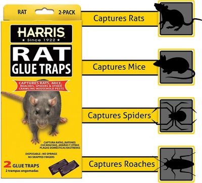 Image showing  Fully Disposable Glue Rat Traps, 4-Pack