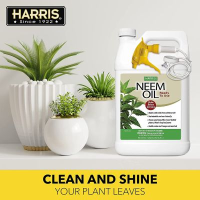 Image showing 5 th Harris 1 gal. Neem Oil Spray for Plants, Cold Pressed Ready-to-Use