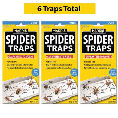 Harris Spider Glue Traps, Pesticide Free, Kills Brown Recluse, Hobo Spider, Black Widow & More (3 pk., 6 Traps Total), HD3STRP