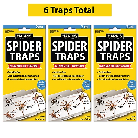 Harris Spider Glue Traps, Pesticide Free, Kills Brown Recluse, Hobo Spider, Black Widow & More (3 pk., 6 Traps Total), HD3STRP