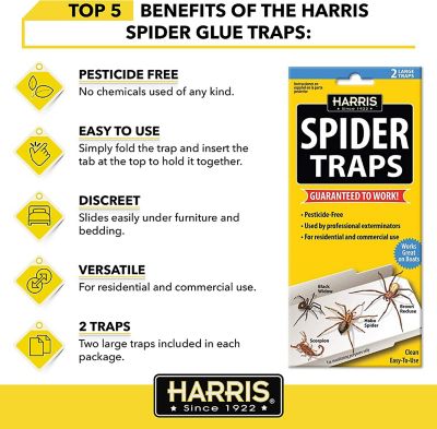 Image showing  Spider Glue Traps, Pesticide Free, Kills Brown Recluse, Hobo Spider, Black Widow & More, 3-Pack, 6 Traps Total