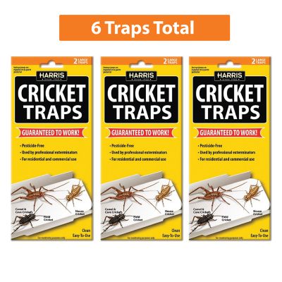 Harris Cricket Glue Traps, 3-Pack, 6 Traps Total