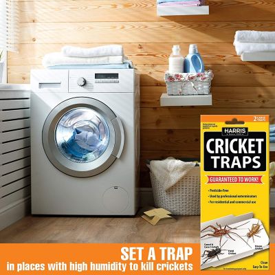 Image showing  Cricket Glue Traps, 3-Pack, 6 Traps Total