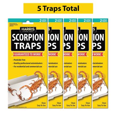 Harris Scorpion Glue Traps with Irresistible Lure, Pesticide Free (5 pk., 10 Traps Total)