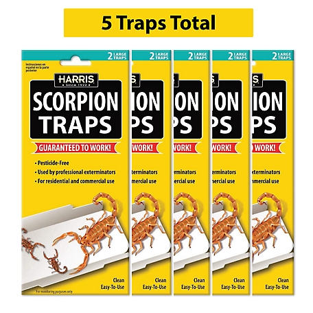 Harris Scorpion Glue Traps with Irresistible Lure, Pesticide Free (5 pk., 10 Traps Total)