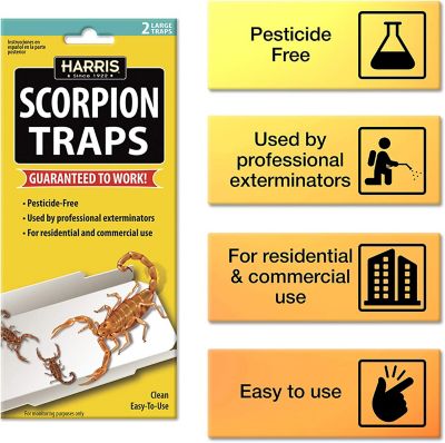 Image showing  Scorpion Glue Traps with Irresistible Lure, Pesticide Free, 5-Pack, 10 Traps Total