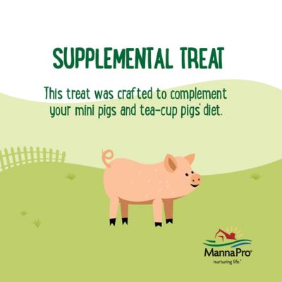 Image showing  Peanut Butter Flavor Mini Pig Treats, 3 lb.