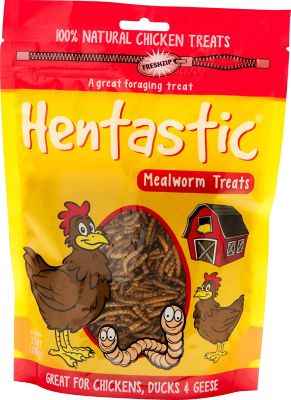 Hentastic Dried Mealworm Chicken Treats, 3.5 oz.