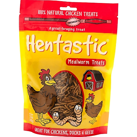 Hentastic Dried Mealworm Chicken Treats, 3.5 oz.
