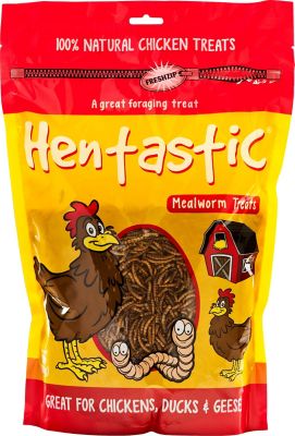 Hentastic Dried Mealworm Chicken Treats, 17.6 oz.