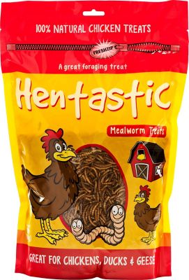 Hentastic Dried Mealworm Ziplock pk., 17.6 oz.