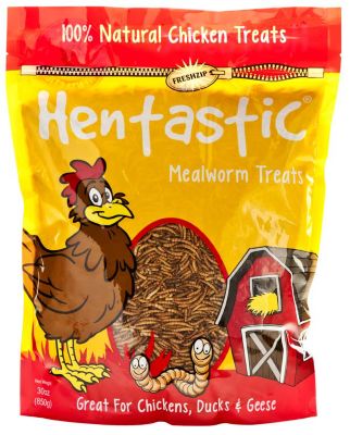 Hentastic Dried Mealworm Chicken Treats, 30 oz.