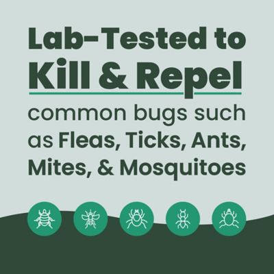 Image showing 6 th Cedarcide All-Purpose Bug Spray, Cedarwood, 1 qt.