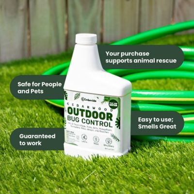 Image showing 5 th Cedarcide 2 qt. Outdoor Bug Control (PCO Choice Concentrate), Cedarwood