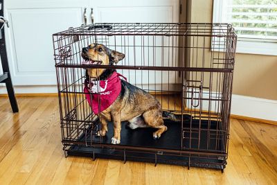 Barn Door Dog Crate & Dog Bed