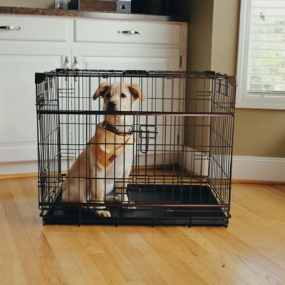 Image showing  DWELL Series 1-Door Metal Pet Crate with Sliding Door